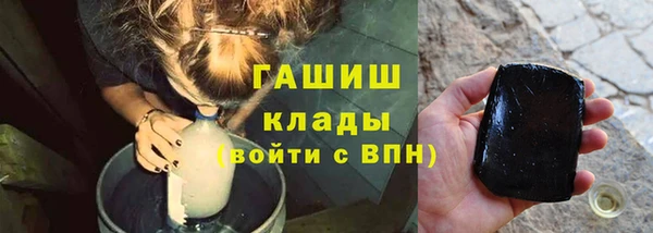 шишки Арсеньев