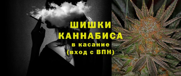 шишки Арсеньев